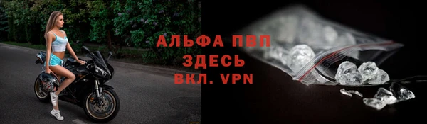 стаф Волоколамск