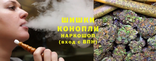 стаф Волоколамск
