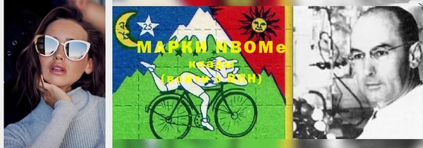 стаф Волоколамск