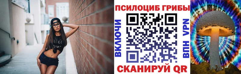 купить наркотики сайты  Кущёвская  Галлюциногенные грибы мухоморы 